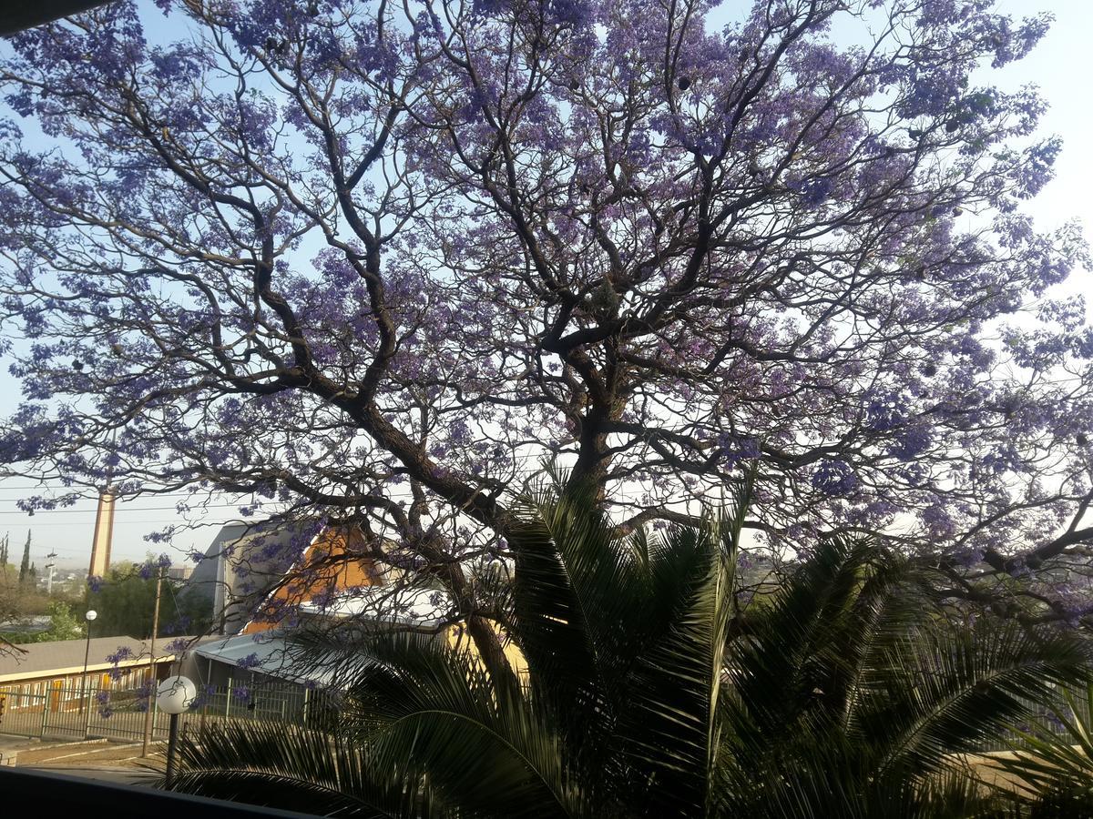 Suiderhof Self-Catering Hotel Windhoek Kültér fotó