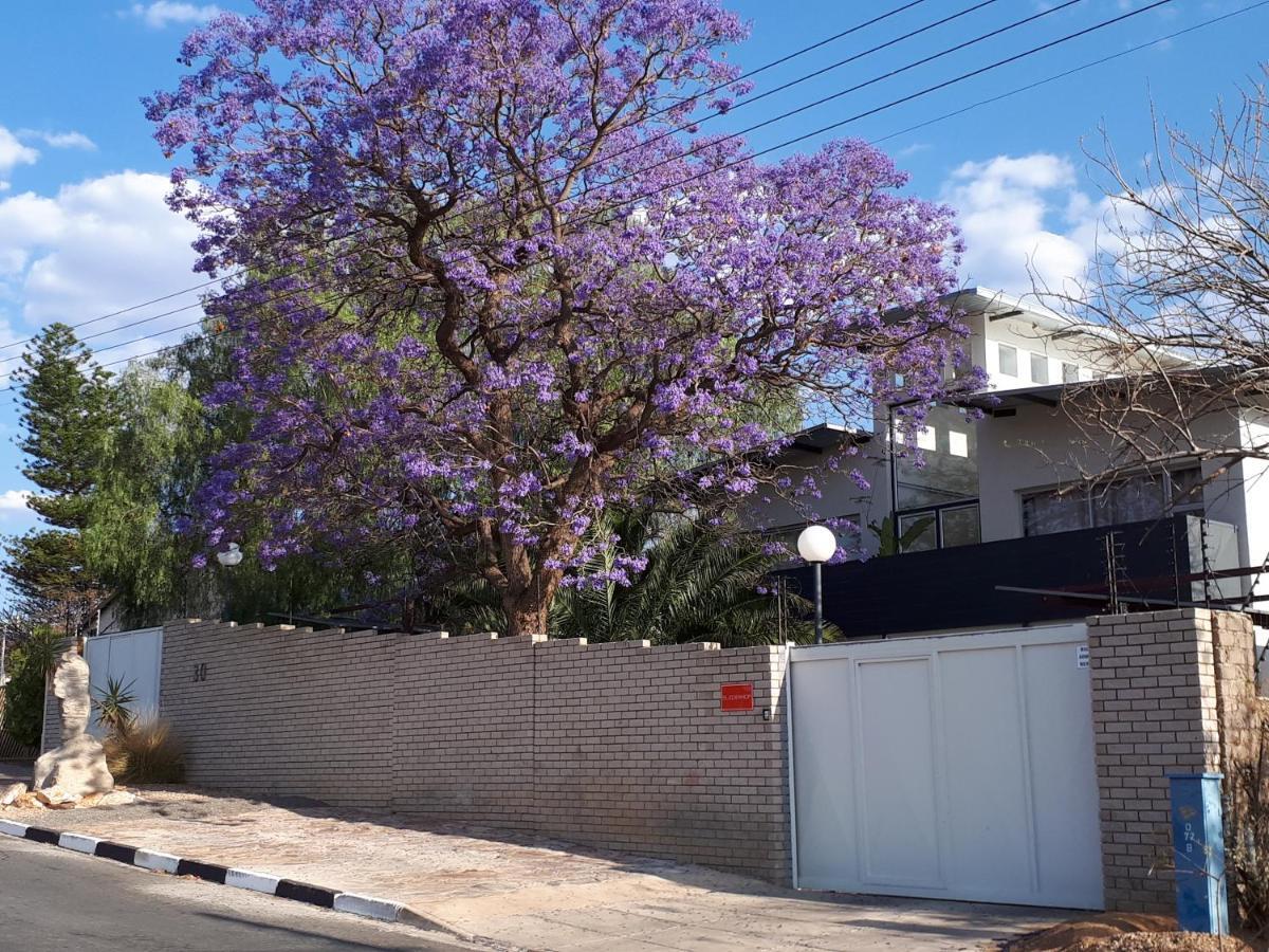 Suiderhof Self-Catering Hotel Windhoek Kültér fotó